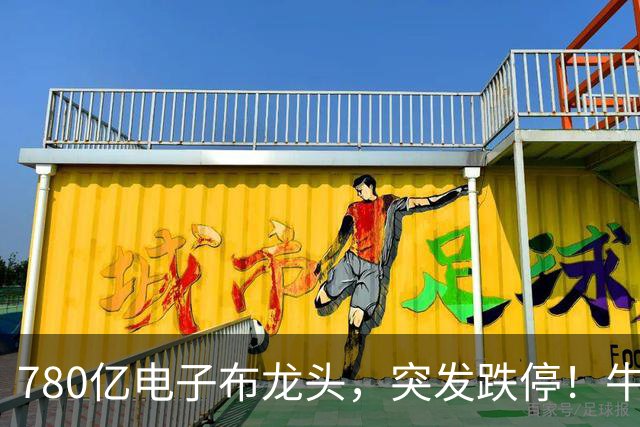 780亿电子布龙头，突发跌停！牛散葛卫东定增浮亏超6000万元，公司回应！